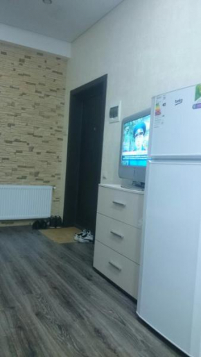 Apartment Studio on Prosveshcheniya